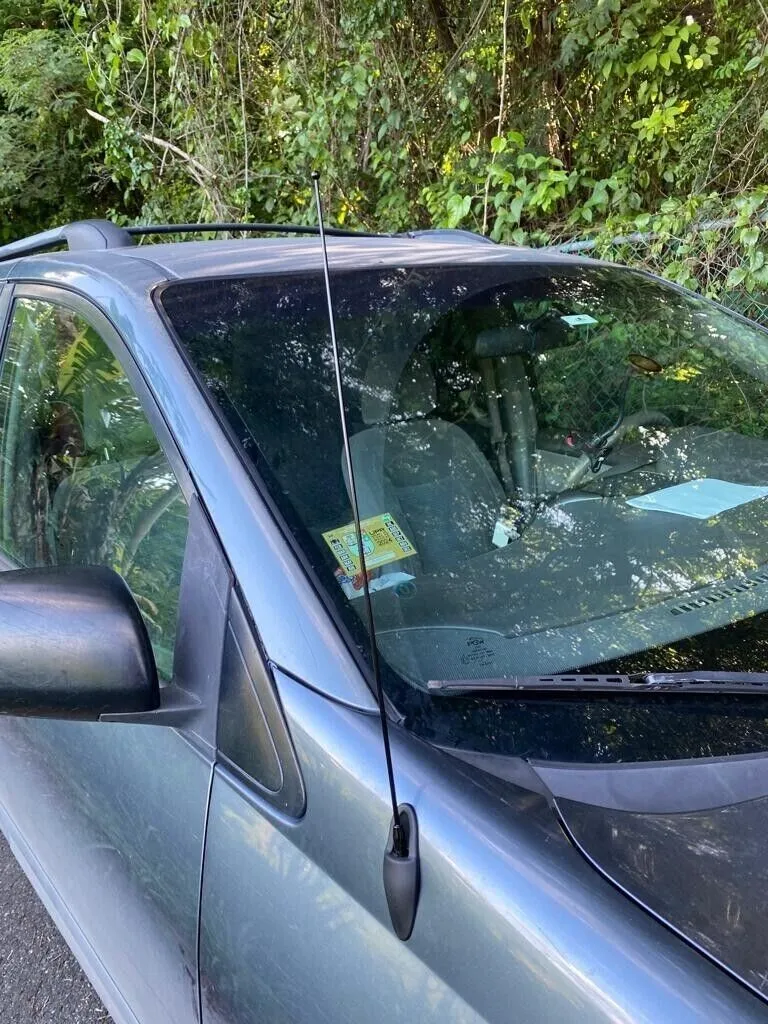 Mástil de antena para Toyota Sienna 2004-2015 | Reemplazo de antena Mástil de antena para Toyota Sienna 2004-2015 | Reemplazo de antena