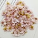 thumbnail image 2 of Cabezas de Flores artificiales Bewildely 100 Piezas seda rosa decoración hogar jardín DIY, 2 of 6