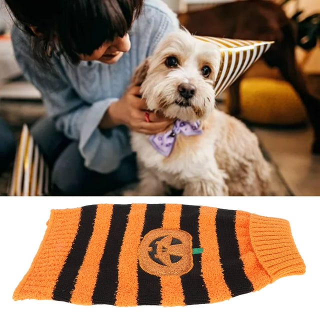 Chandail pour Chien Costume Doux à Rayures Citrouille