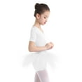 thumbnail image 3 of iiniim Toddler Girls Tutu Dress Ballet Dance Leotard Short Sleeves Tulle Dress Gymnastics Bodysuit, 3 of 7