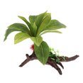 thumbnail image 4 of Paisajismo Decoracion Accesoiros de Acuario Decorativo Resistente Raíces de brotes QL2127 Sunnimix Reptiles acuáticos, 4 of 8