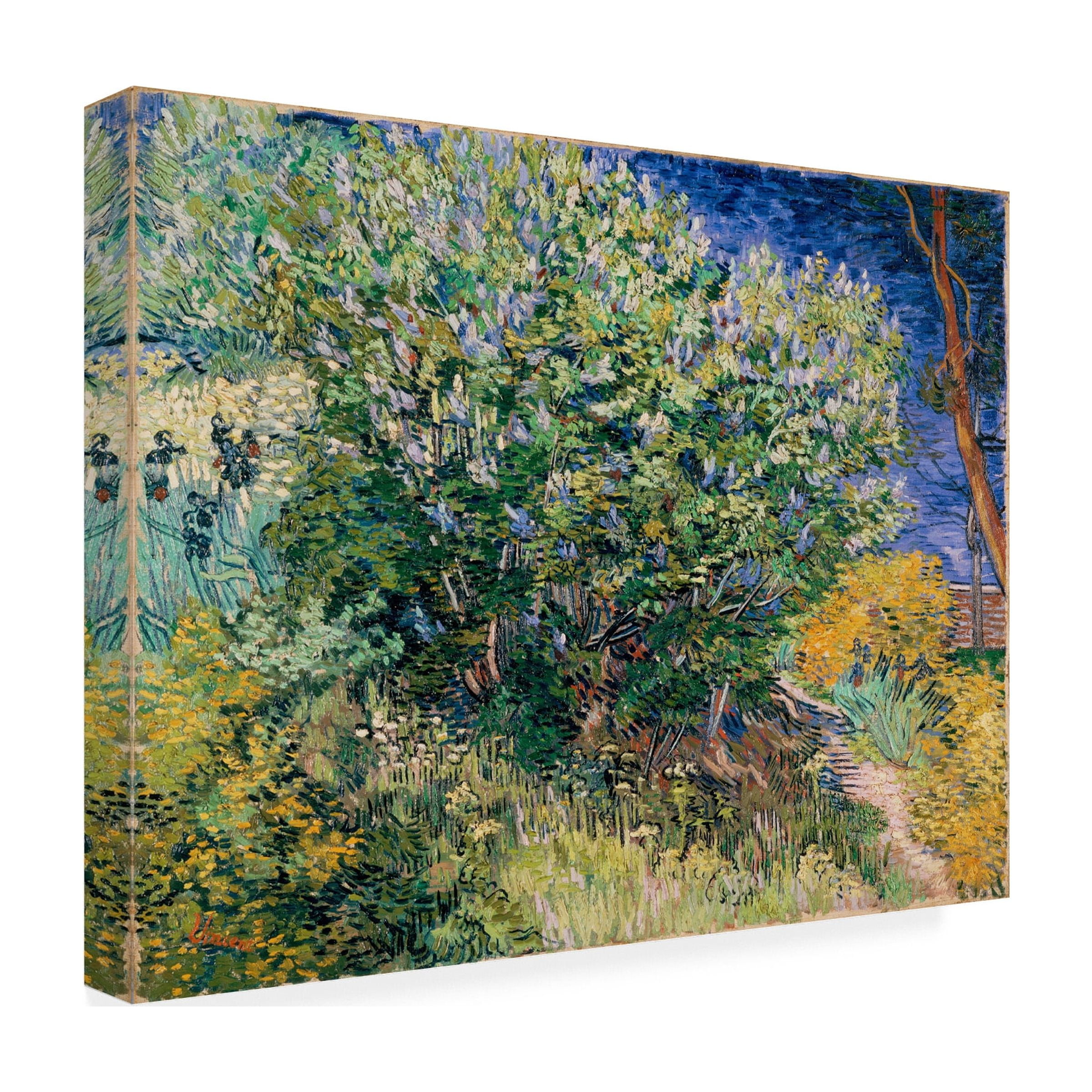 Van Gogh 'Lilac Bush' Canvas Art