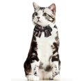 thumbnail image 2 of MERIGLARE Colliers pour Animaux avec Nœud Papillon - Collier pour Chien Chat Moyen Réglable à Rayures Noir S, 2 of 9