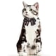 thumbnail image 2 of Lazo de del perrito del perro, collar de del - Negro S, 2 of 9