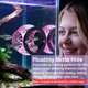thumbnail image 2 of Cueva flotante Betta Hideout UNISOLODECHO Rainbow Pink, 2 of 6