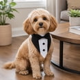 thumbnail image 6 of Dog Collar with Bow Tie Tuxedo Style Bandana for Small Medium Large Dogs Quick Release Collar for Dogs Wedding Outfit Birthday Party Attire Black and Red Adjustable Dog Bandana, 1, 6 of 6