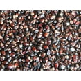 thumbnail image 6 of 500 Dakota Black Popcorn Seeds Heirloom Organic Seed Garden Growing Edible Non-GMO Open Pollinated By JL Missouri Parts, 6 of 8