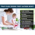thumbnail image 2 of Trampas para ventanas MaxGuard Catch & Kill Houseflies 24 XL, 2 of 6