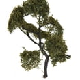 thumbnail image 2 of Modelo de árbol perfecl para Arquitectura paisaje de Construcción de árboles, 2 of 6