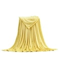 thumbnail image 1 of Pompotops Couverture en Molleton Micro Peluche Super Douce et Chaude Jeté de Canapé Literie Liquidation, 1 of 2