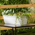thumbnail image 4 of The HC Companies 24" Window Flower Box w/Removable Saucer, White (6 Pack), 4 of 12