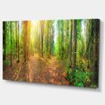 thumbnail image 2 of Dense Forest Panorama - Impression sur Toile Paysage, 2 of 3