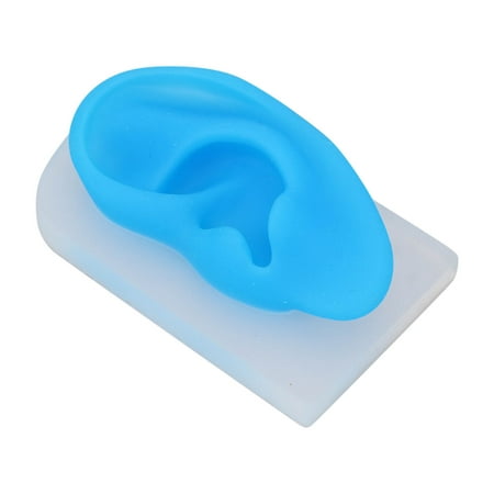 Ear Model, Practice Ear Model Simulated Human Skin Versatile Elastic ...