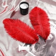 thumbnail image 7 of Red Ostrich Feather,Bexikou 20 Pcs 8-10 inch(20-25 cm) Ostrich Feathers for Crafts Floral Arrangement,Wedding Party Centerpieces Home Decorations, 7 of 7