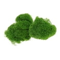 thumbnail image 1 of Hierba Artificial Sunnimix Decoración para el hogar DIY Amarillo verde, 1 of 8