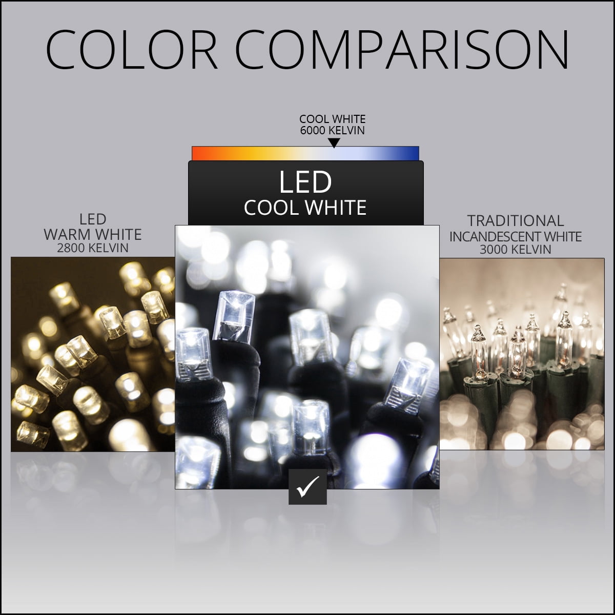 Wintergreen Lighting 70 LED Halloween Decoration String Lights 24', Indoor Outdoor Black Wire