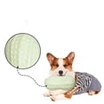 thumbnail image 4 of Dog TPR Resistance Simulation Teeth Grinding Interactive Sound Toy Toy Dog Toy, 4 of 5