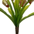 thumbnail image 6 of Vickerman 12" Green Artificial Venus Flytrap Plant 3/pk, 6 of 6