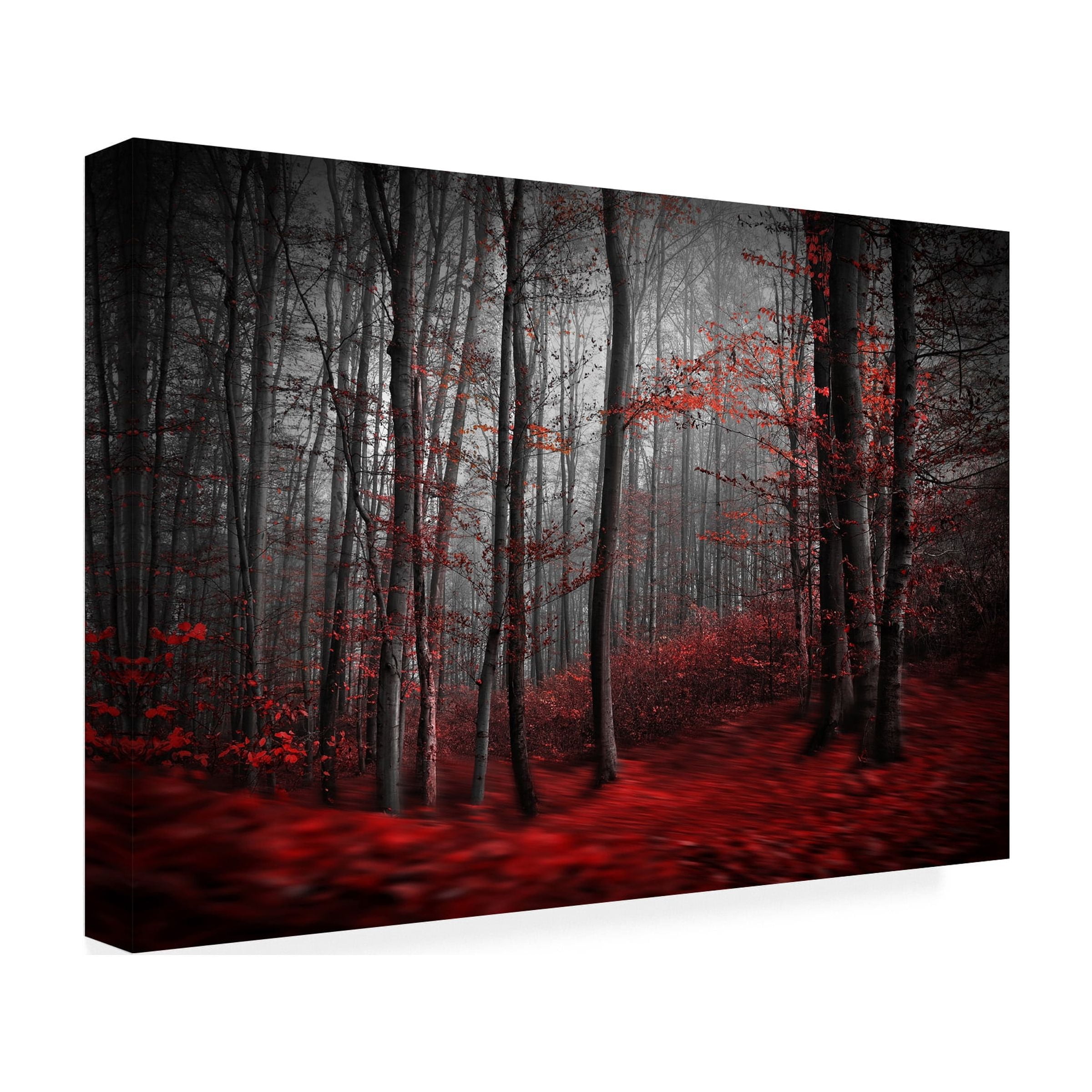 Samanta 'Bloody River' Canvas Art