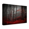 thumbnail image 4 of Samanta 'Bloody River' Canvas Art, 4 of 4