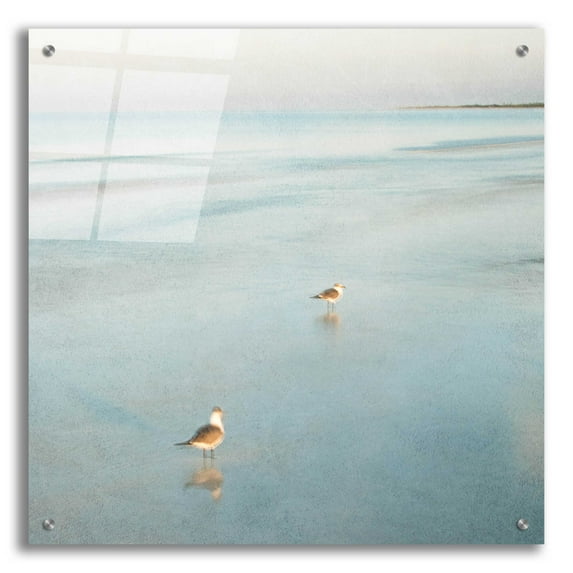 Epic Art 'Two Birds on Beach' by John Juracek, Acrylic Glass Wall Art, 24"x24"
