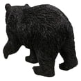 thumbnail image 4 of BLACK BEAR WALKING, 4 of 5
