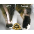 thumbnail image 2 of Dermaqq BEST Absorption Ubiquinol - CoQ10 for Dogs and Cats Hot Spots, Hair Loss, Dermatitis Support, 2 of 3