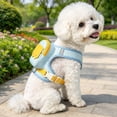 thumbnail image 5 of Reflective Waterproof Dog Harness Backpack with Leash, Adjustable No-Pull Pet Vest with Storage Pockets for Outdoor Use, 5 of 5