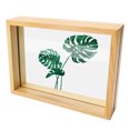 thumbnail image 1 of Marco de fotos Marco de exhibición de ilustraciones de vidrio de doble cara de madera para especímenes de plantas, 1 of 8