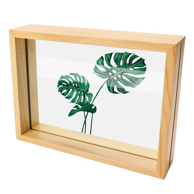 Marco de fotos Marco de exhibición de ilustraciones de vidrio de doble cara de madera para especímenes de plantas
