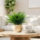 thumbnail image 3 of Plantas artificiales TURNMEON, helecho falso de Boston, 12 paquetes, 3 of 8