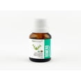 thumbnail image 1 of ACEITE ESCENCIAL DE ROMERO, 100% ORGÁNICO Natshop ACEITE ESCENCIAL DE ROMERO, 100% ORGÁNICO, 1 of 3