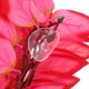 thumbnail image 4 of KAKOWELY Planta artificial realista de plástico para decoración de peceras, enredadera falsa para terrario., 4 of 4