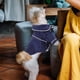 thumbnail image 2 of BRIGHTFUFU Pajama de algodón de perro ropa de perro pequeño ropa de perro perrito, 2 of 8