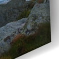 thumbnail image 3 of Epic Art 'Ushant' by Mathieu Rivrin, Acrylic Glass Wall Art, 24"x16", 3 of 8