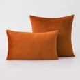 thumbnail image 5 of Juego de 2 fundas de almohada decorativas rectangulares de terciopelo acogedor para sofá y cama, 12 x 20 pulgadas, 5 of 5