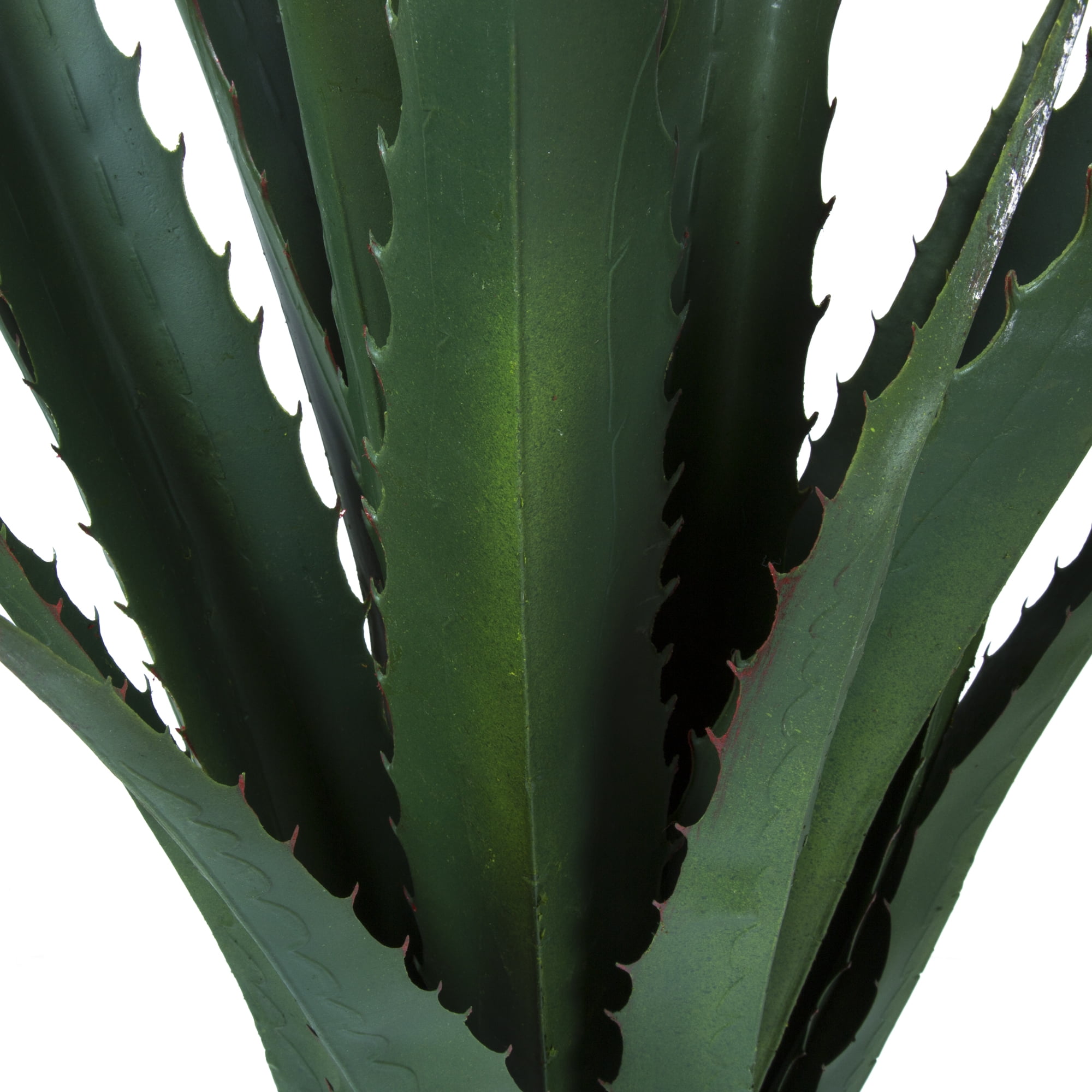 Willing plant 大眼 Yei Tao Cthulhu Agave - 工芸品
