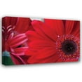 thumbnail image 1 of Erin Berzel 32x23 Gallery Wrapped Canvas Wall Art Titled - Red Gerbera Close-up, 1 of 4