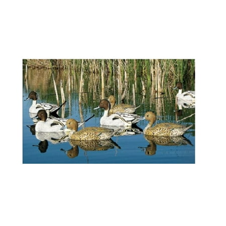 Dakota Decoy X-Treme Pintail Duck Decoy 6PK