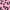 Leopard, variant on Little Star Toddler Boy 10Pk Briefs, Size 2T-5T