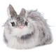 thumbnail image 3 of Conejito realista juguete de conejito Conejo de peluche realista Decoración navidea Animal Conejo suave Juguete de peluche Mascota Animales lindos animales de peluche y osos de peluche, 3 of 9