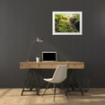 thumbnail image 3 of Grayscale 18x15 White Modern Wood Framed Museum Art Print Titled - Fern Valley I, 3 of 4