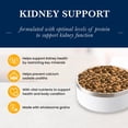 thumbnail image 3 of Blue Buffalo Natural Veterinary Diet KS Kidney Support Dry Dog Food, Chicken 22-lb Bag, 3 of 11