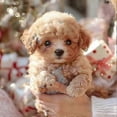 thumbnail image 3 of 2025 New Robot Dog for Adults, AI Robotic Dog, Nicoo - My Realistic Robot Puppy That Acts Like a Real Puppy - Walking, Barking, Tail Wagging Cs, 3 of 5