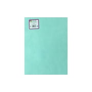 Kunin 9" x 12" Rainbow Classic Minty Felt, 1 Each