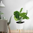 thumbnail image 3 of Pot de Fleurs Rond en Pstique avec Trous de Drainage, 3 of 8