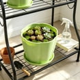 thumbnail image 4 of romoty Flower Petal Shaped Plastic Plant Pot with Saucer Green, 6.3 in Lightweight Decorative Succulent Planter with Drainage Hole for Indoor Outdoor Desk Garden Decor, 4 of 6