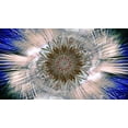 thumbnail image 2 of Manlove, David 18x12 Black Ornate Wood Framed with Double Matting Museum Art Print Titled - Ice Star cbs, 2 of 4
