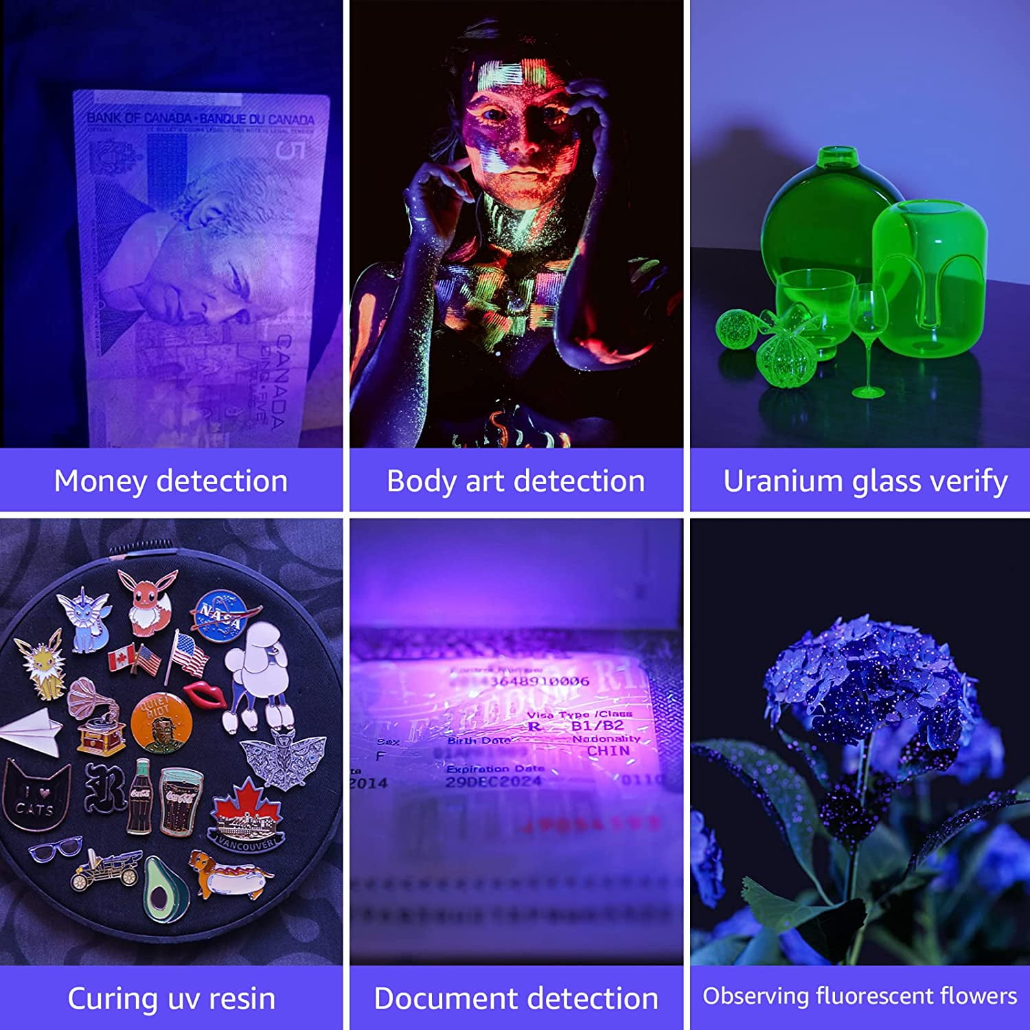 Lepro UV Black Light Flashlight with Batteries , 21 LEDs UV Light Handheld Blacklight 395nm Detector for Pet Urine