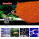 thumbnail image 5 of Alimento para peces de acuario de 40/100 g, huevos de camarón liofilizados para peces pequeños, peces dorados, peces betta, peces tropicales y camarones de cristal con alto contenido de proteínas, 5 of 5